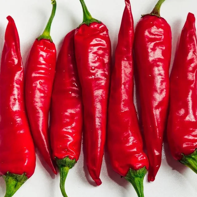 Real chilis