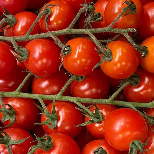 Sun-ripened tomatoes